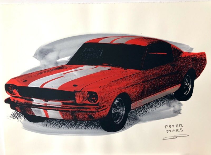 Shelby 22" x 30"