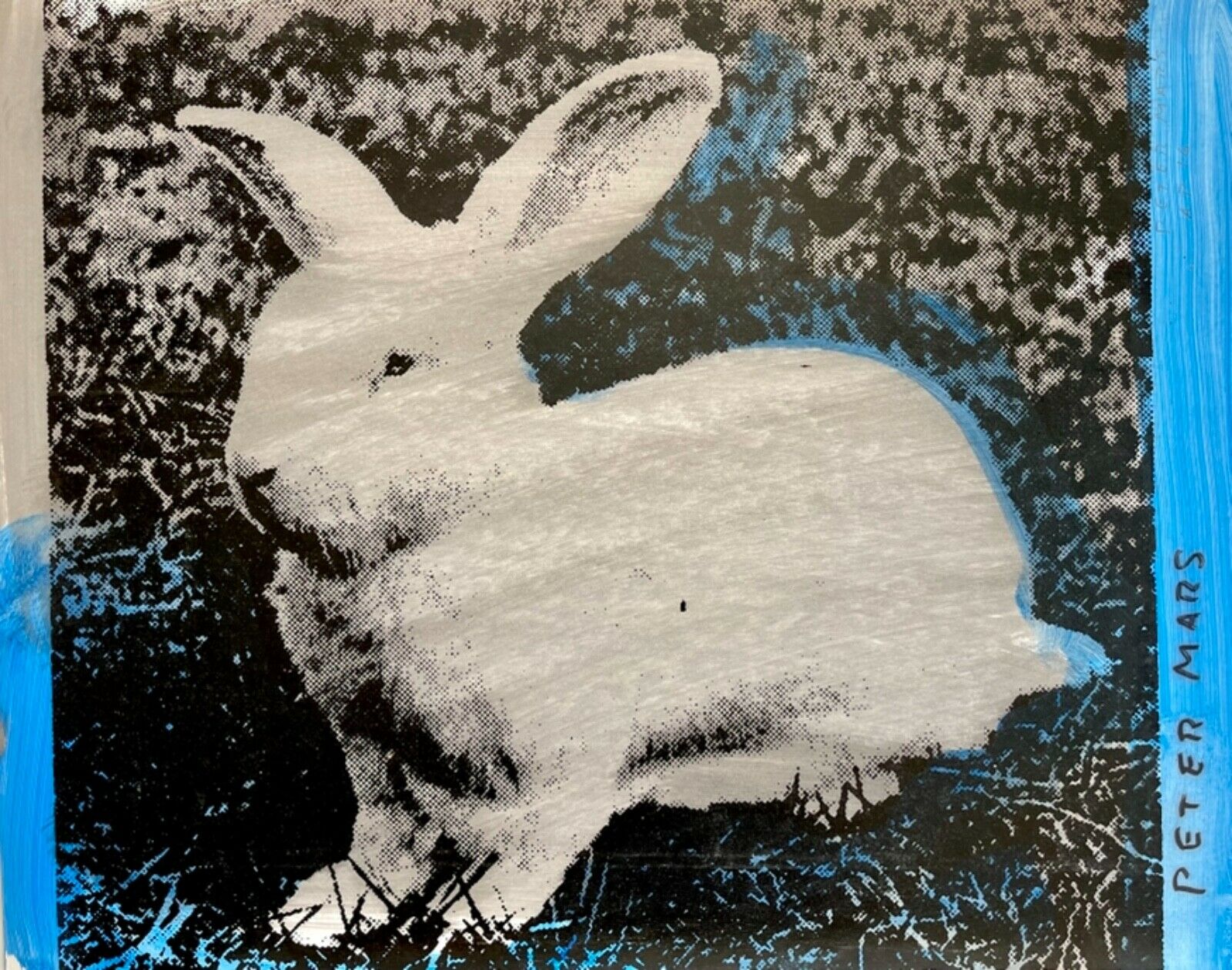 Space Bunny in Blue Field 26" x 26"